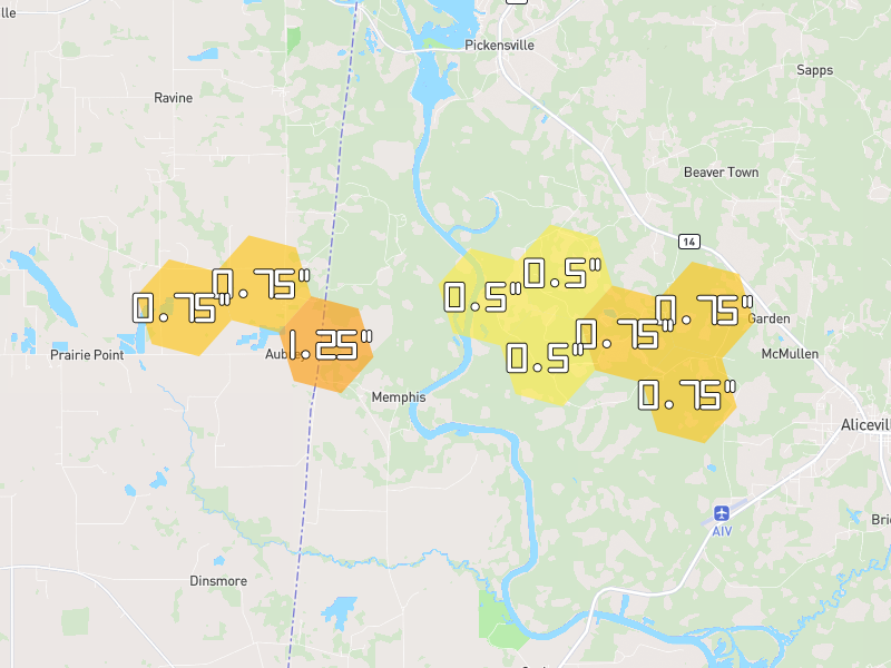 Hail map of Aliceville, AL on Jul 1, 2026, hail up to 1.25"