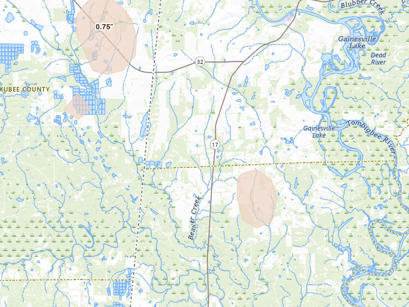 Radar-estimated hail-size map of the storm over Aliceville, AL on Aug 19, 2026