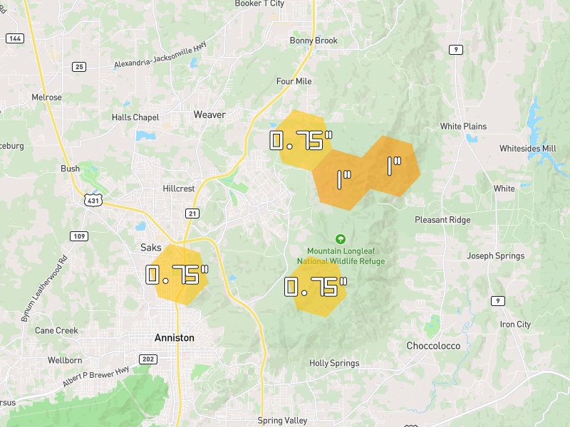 Hail map of Anniston, AL on Jul 1, 2026, hail up to 1"