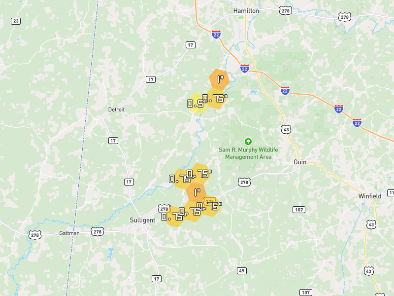 Hail map of Beaverton, AL on Jul 1, 2026, hail up to 1.25"