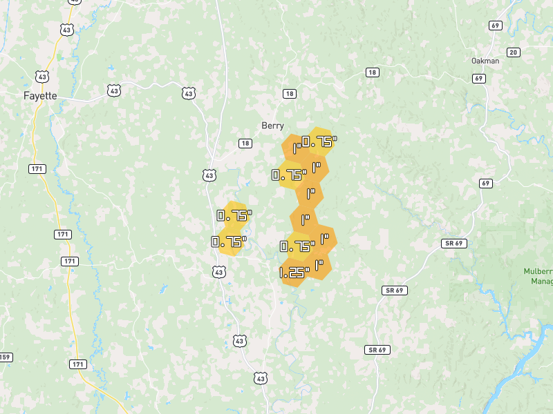 Hail map of Berry, AL on Jul 3, 2026, hail up to 1.25"