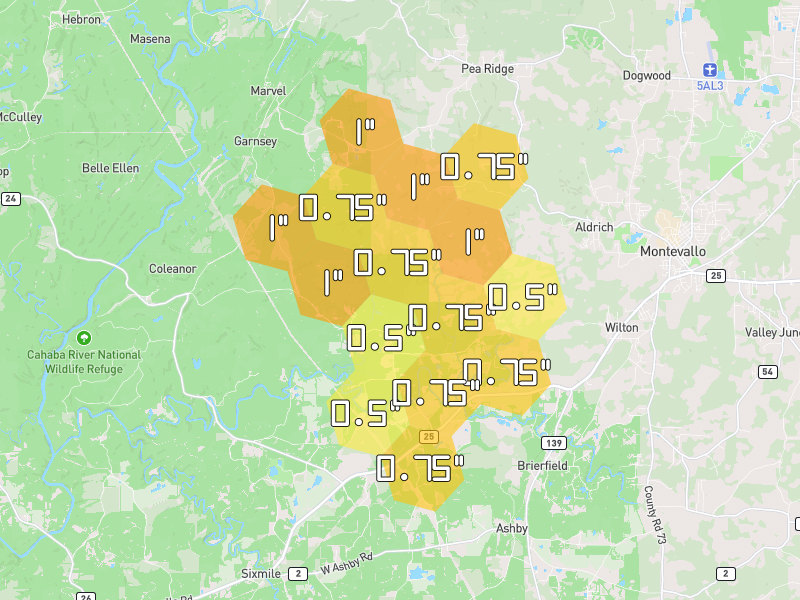 Hail map of Brierfield, AL on Jul 9, 2026, hail up to 1"