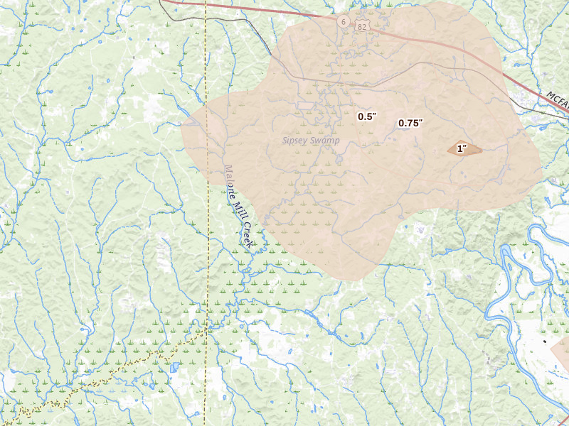 Radar-estimated hail-size map of the storm over Buhl, AL on Jul 1, 2026