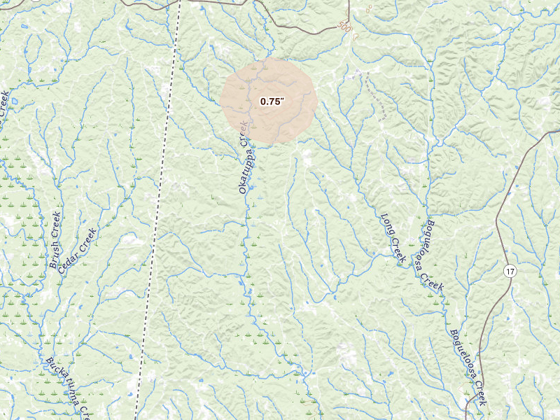 Radar-estimated hail-size map of the storm over Butler, AL on Aug 18, 2026