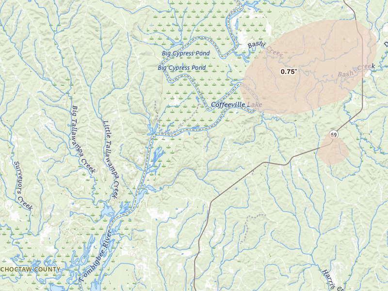 Radar-estimated hail-size map of the storm over Campbell, AL on Jul 5, 2026