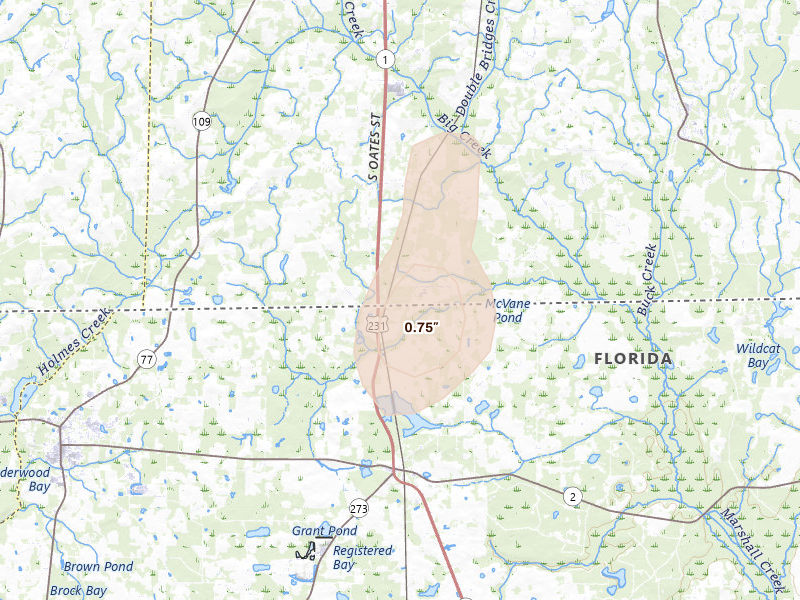 Radar-estimated hail-size map of the storm over Cottonwood, AL on Apr 3, 2026