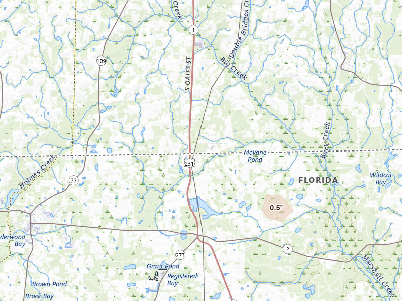 Radar-estimated hail-size map of the storm over Cottonwood, AL on Jul 29, 2026