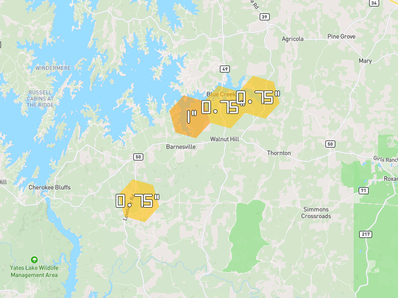Hail map of Dadeville, AL on Jul 5, 2026, hail up to 1"