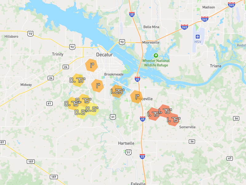Hail map of Decatur, AL on Jun 1, 2026, hail up to 1.75"
