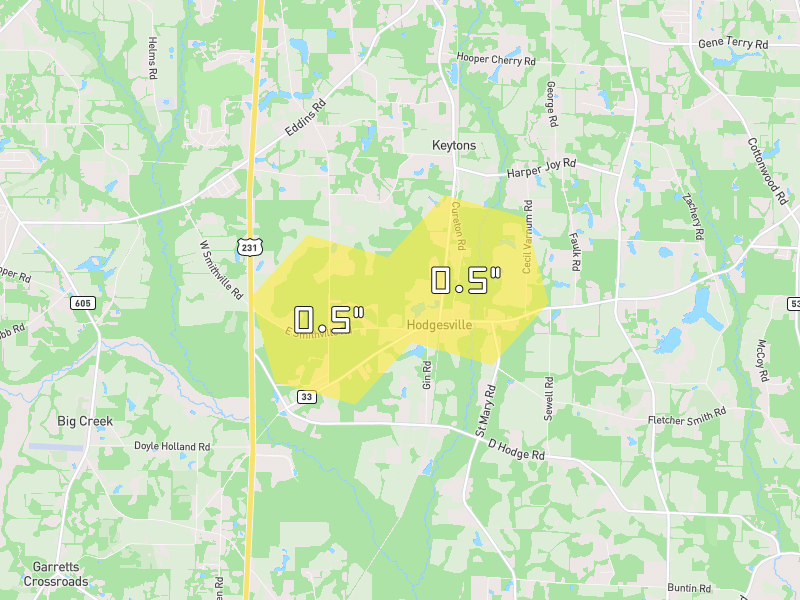 Hail map of Dothan, AL on Jun 1, 2026, hail up to 0.5"