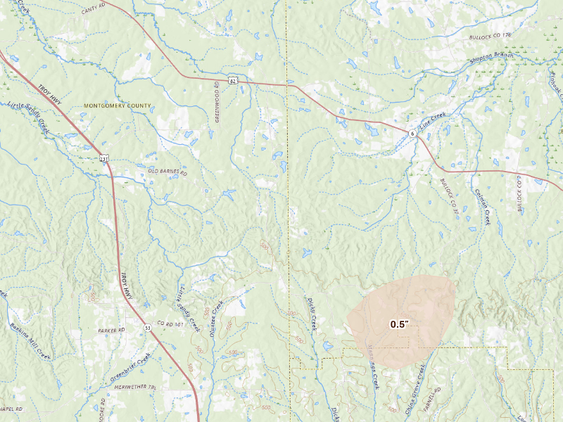 Radar-estimated hail-size map of the storm over Fitzpatrick, AL