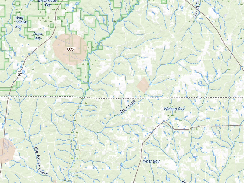 Radar-estimated hail-size map of the storm over Florala, AL on Aug 19, 2026