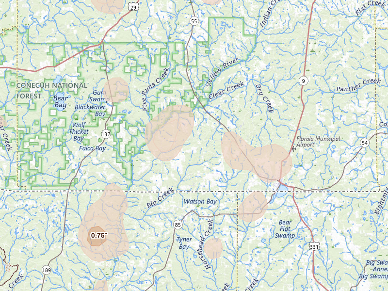 Radar-estimated hail-size map of the storm over Florala, AL on Aug 21, 2026