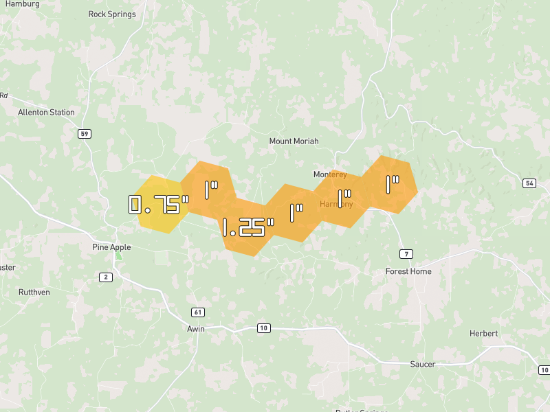 Hail map of Forest Home, AL on Jul 1, 2026, hail up to 1.25"