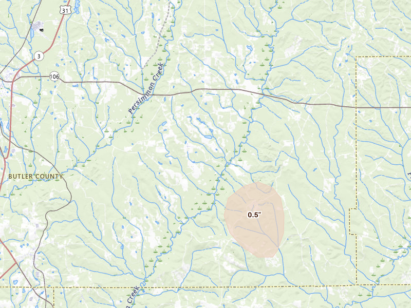 Radar-estimated hail-size map of the storm over Georgiana, AL on Mar 15, 2026