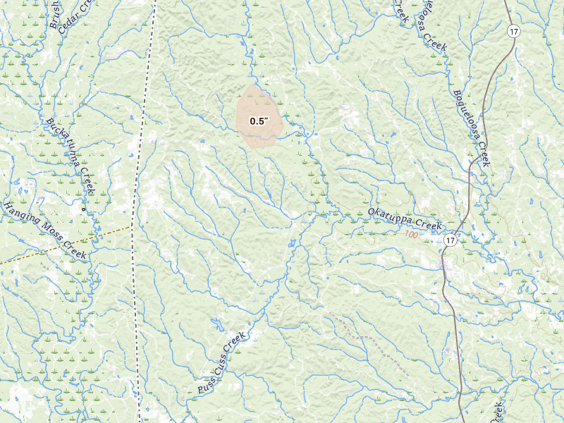 Radar-estimated hail-size map of the storm over Gilbertown, AL on Aug 19, 2026