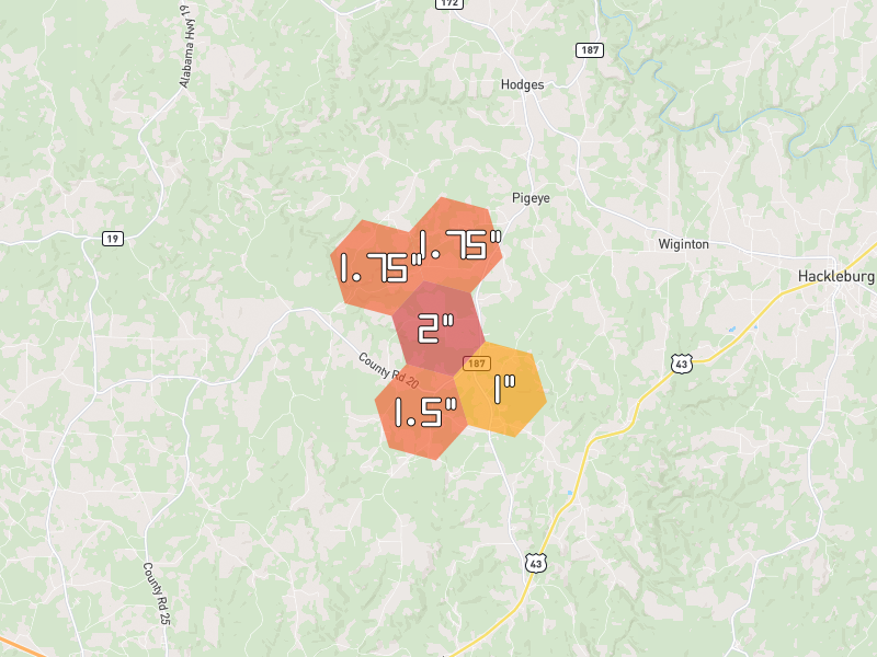 Hail map of Hodges, AL on Jul 1, 2026, hail up to 2"