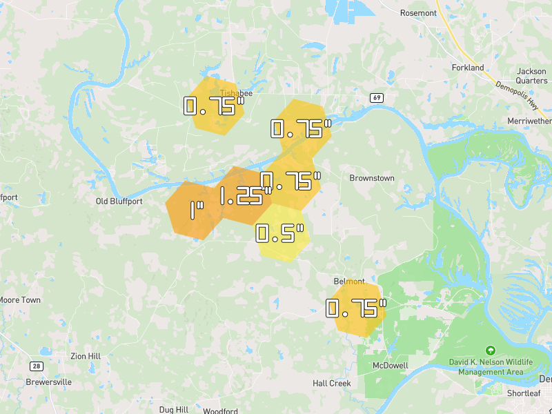 Hail map of Livingston, AL on Jun 1, 2026, hail up to 1.25"