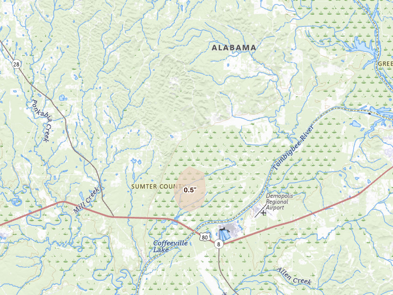 Radar-estimated hail-size map of the storm over Livingston, AL