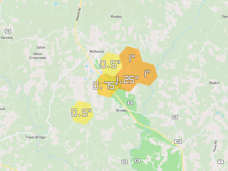 Hail map of Mc Kenzie, AL on Jun 30, 2026, hail up to 1.25"