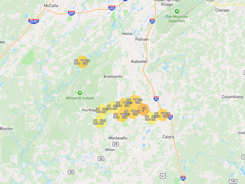 Hail map of Montevallo, AL on Jul 1, 2026, hail up to 1"