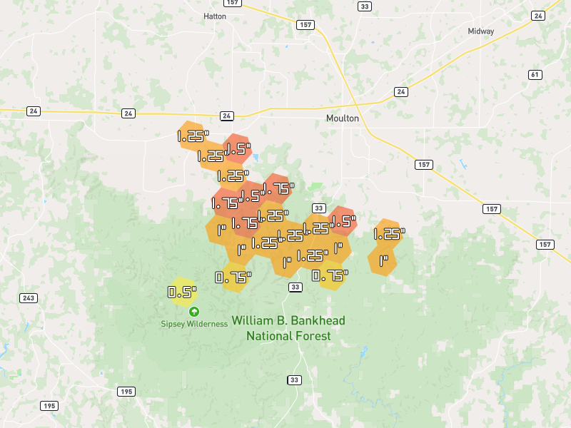 Hail map of Moulton, AL on Jul 1, 2026, hail up to 1.75"