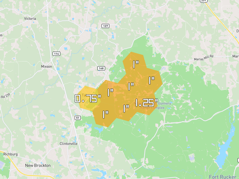 Hail map of New Brockton, AL on Jul 10, 2026, hail up to 1.25"