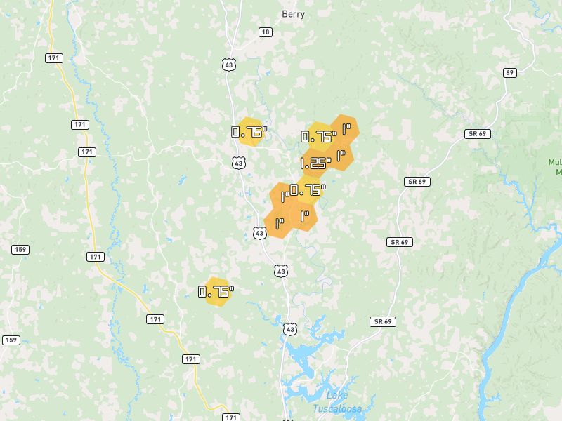 Hail map of Northport, AL on Jul 3, 2026, hail up to 1.25"