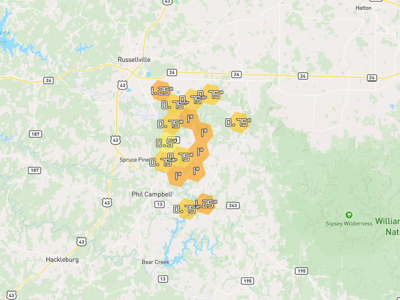 Hail map of Phil Campbell, AL on Jul 1, 2026, hail up to 1.25"