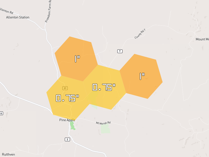 Hail map of Pine Apple, AL on Jul 1, 2026, hail up to 1"