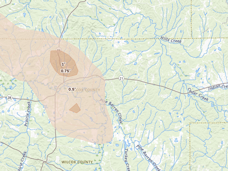Radar-estimated hail-size map of the storm over Pine Apple, AL on Aug 24, 2026