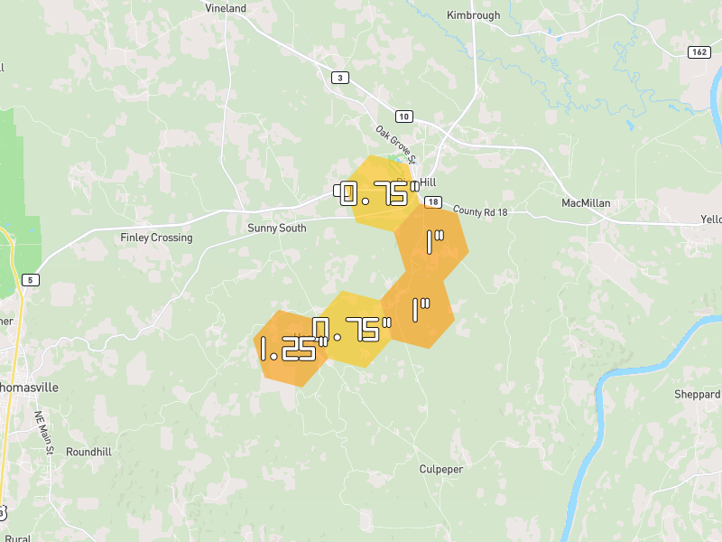 Hail map of Pine Hill, AL on Jun 1, 2026, hail up to 1.25"