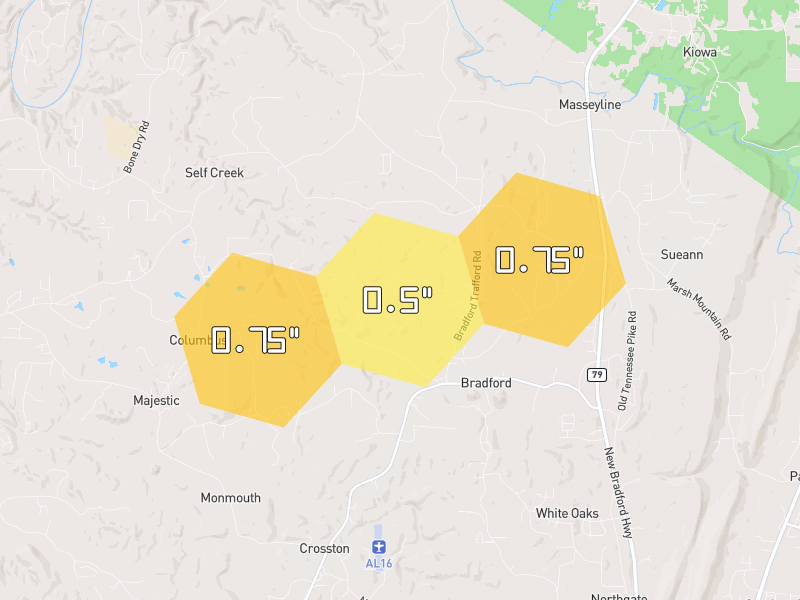 Hail map of Pinson, AL on Jun 1, 2026, hail up to 0.75"