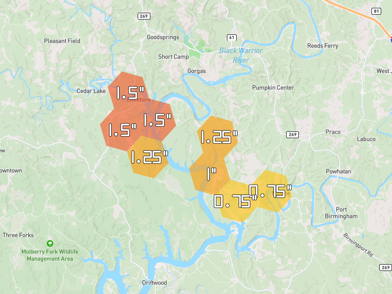 Hail map of Quinton, AL on Jun 1, 2026, hail up to 1.5"