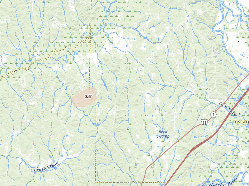 Radar-estimated hail-size map of the storm over Ralph, AL on Apr 29, 2026