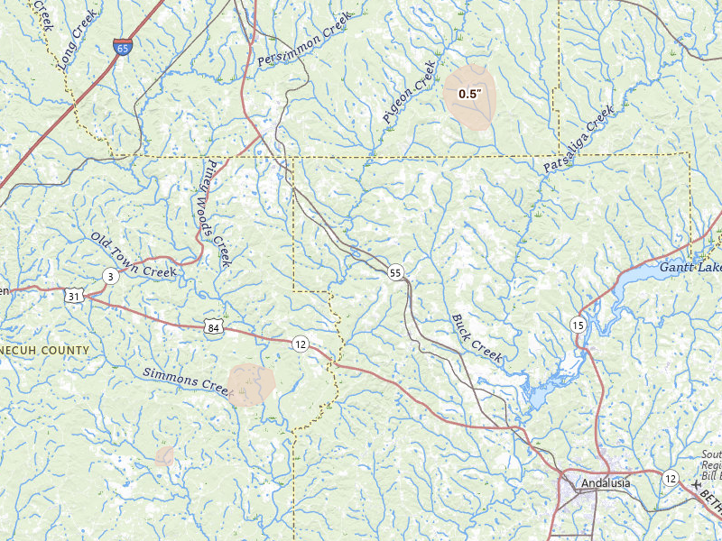Radar-estimated hail-size map of the storm over Red Level, AL on Mar 15, 2026