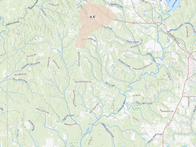 Radar-estimated hail-size map of the storm over Red Level, AL