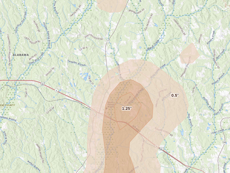 Radar-estimated hail-size map of the storm over Reform, AL