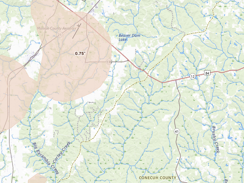 Radar-estimated hail-size map of the storm over Repton, AL on Aug 20, 2026