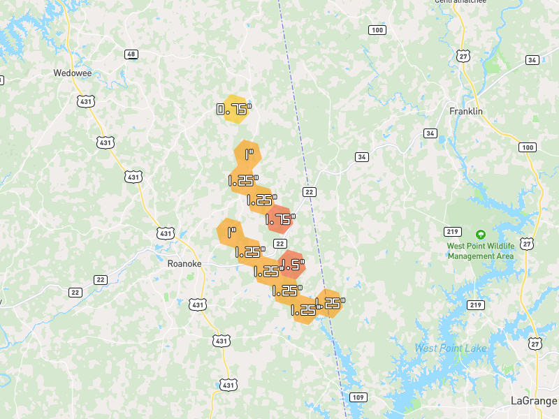 Hail map of Roanoke, AL on Jun 1, 2026, hail up to 1.75"