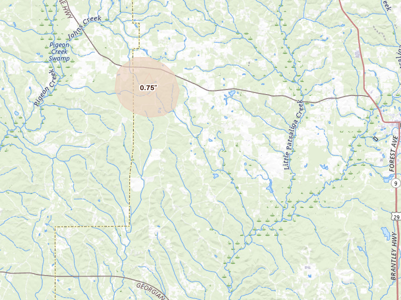 Radar-estimated hail-size map of the storm over Rutledge, AL