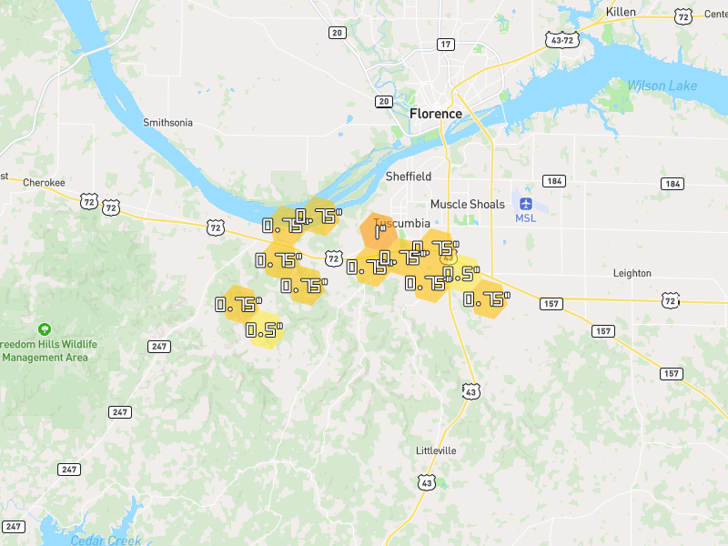 Hail map of Tuscumbia, AL on Jun 1, 2026, hail up to 1"