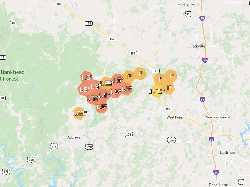 Hail map of Vinemont, AL on Jul 1, 2026, hail up to 1.75"