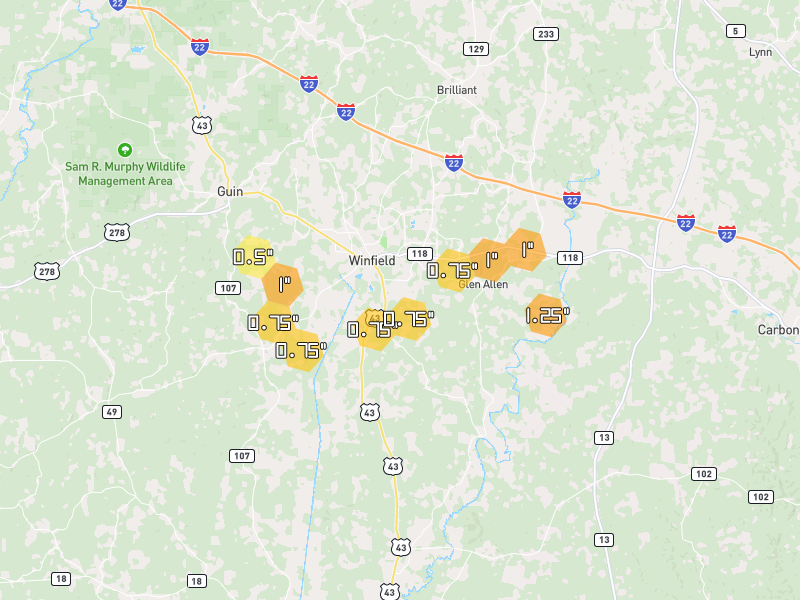 Hail map of Winfield, AL on Jul 1, 2026, hail up to 1.25"
