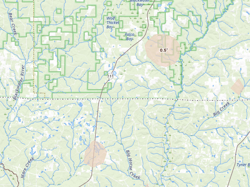 Radar-estimated hail-size map of the storm over Wing, AL on Aug 19, 2026
