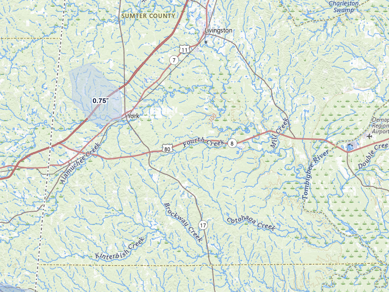 NEXRAD radar-signature map of the hail over York, AL