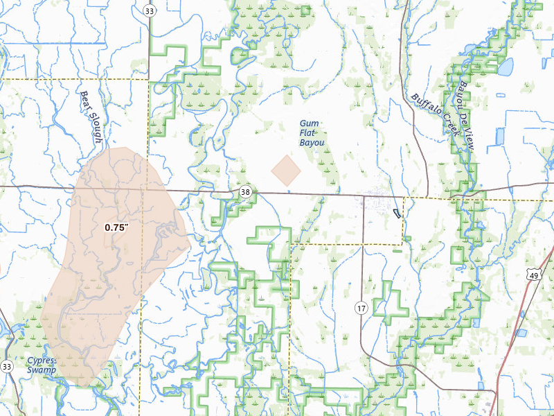 Radar-estimated hail-size map of the storm over Cotton Plant, AR on Mar 15, 2026