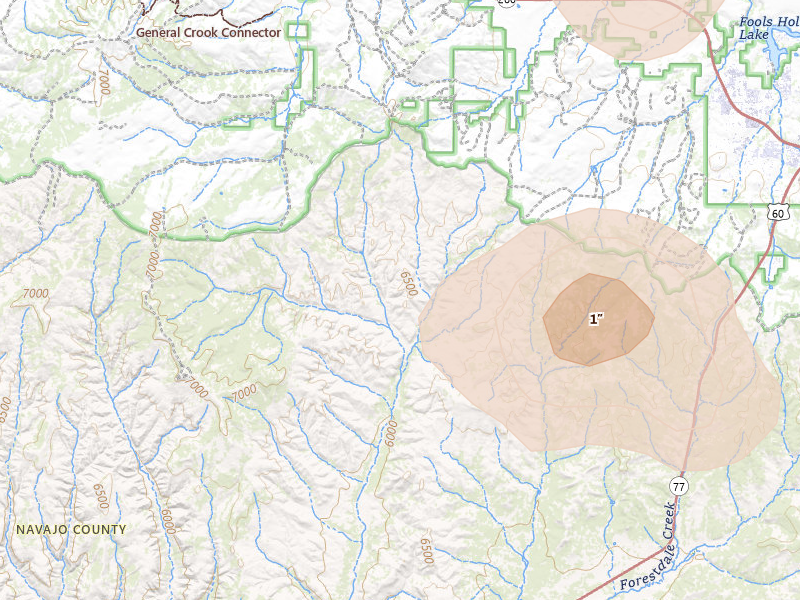 Radar-estimated hail-size map of the storm over Show Low, AZ on Jul 20, 2026
