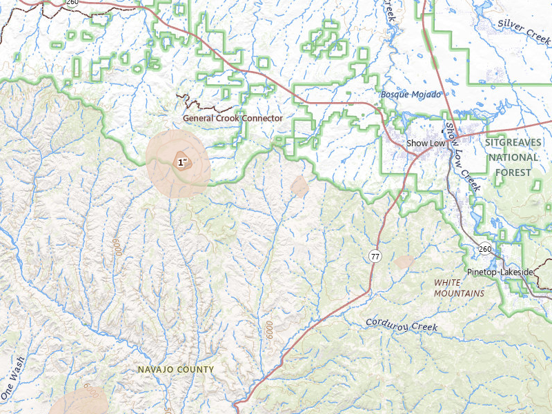 Radar-estimated hail-size map of the storm over Show Low, AZ on Aug 3, 2026