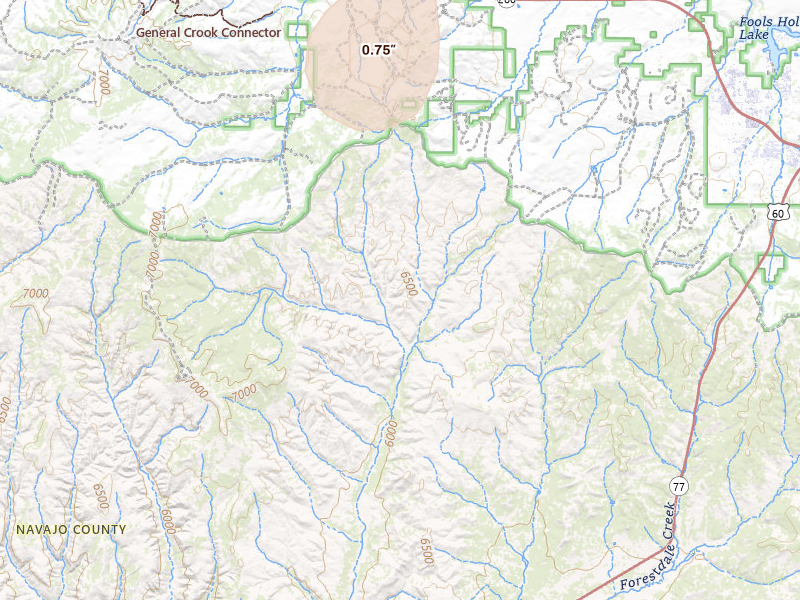Radar-estimated hail-size map of the storm over Show Low, AZ on Aug 8, 2026